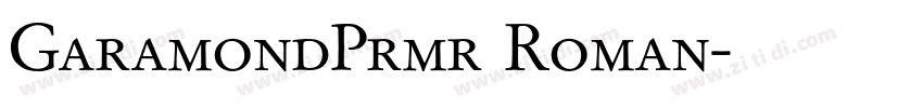 GaramondPrmr Roman字体转换